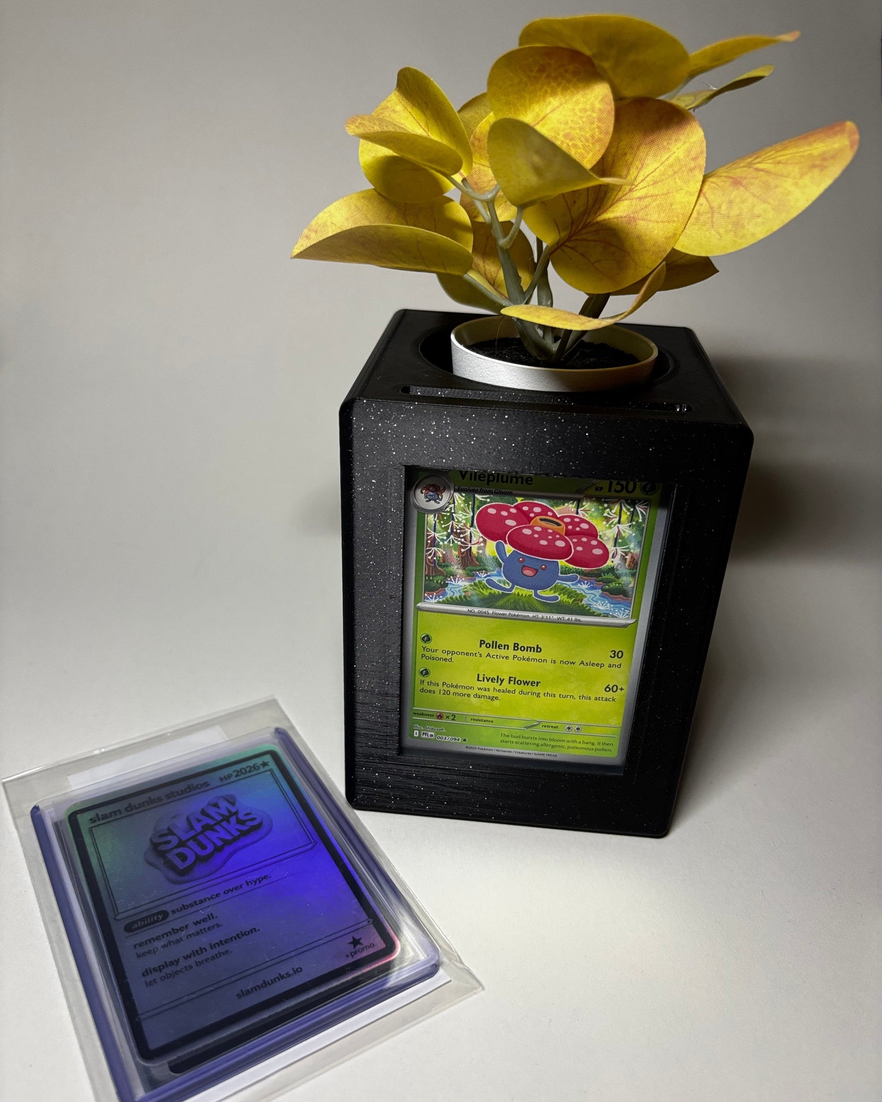 Growth planter galaxy black and studio pack