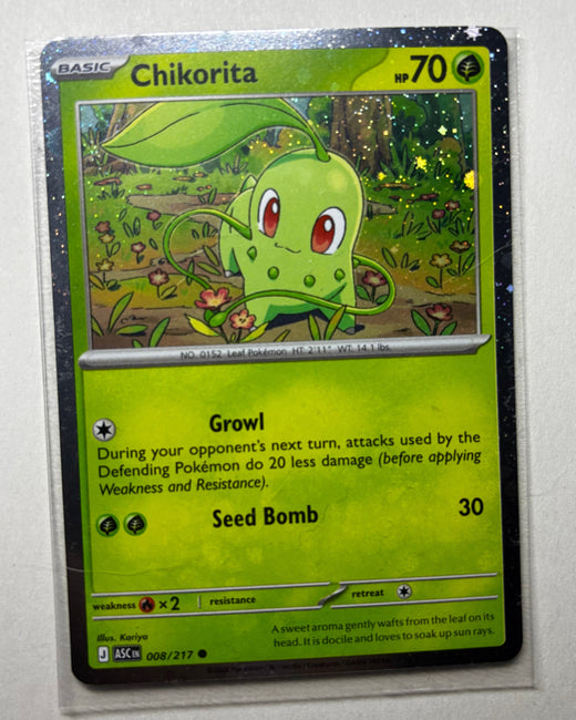 Chikorita