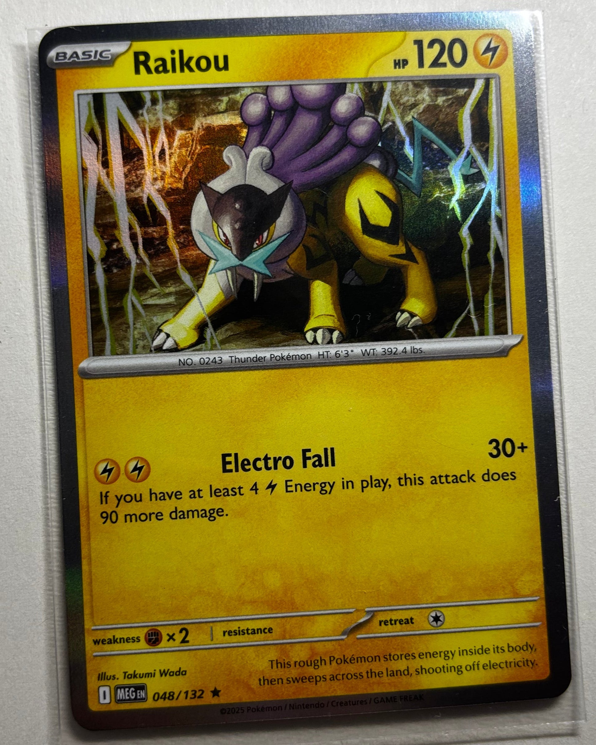 Raikou holographic Pokemon trading card for premium Slam Dunks Studios display objects
