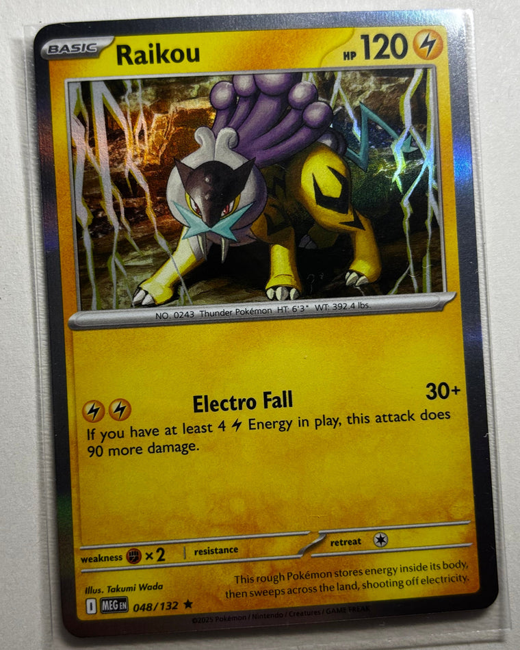 Raikou holographic Pokemon trading card for premium Slam Dunks Studios display objects