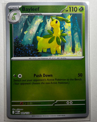 Bayleef