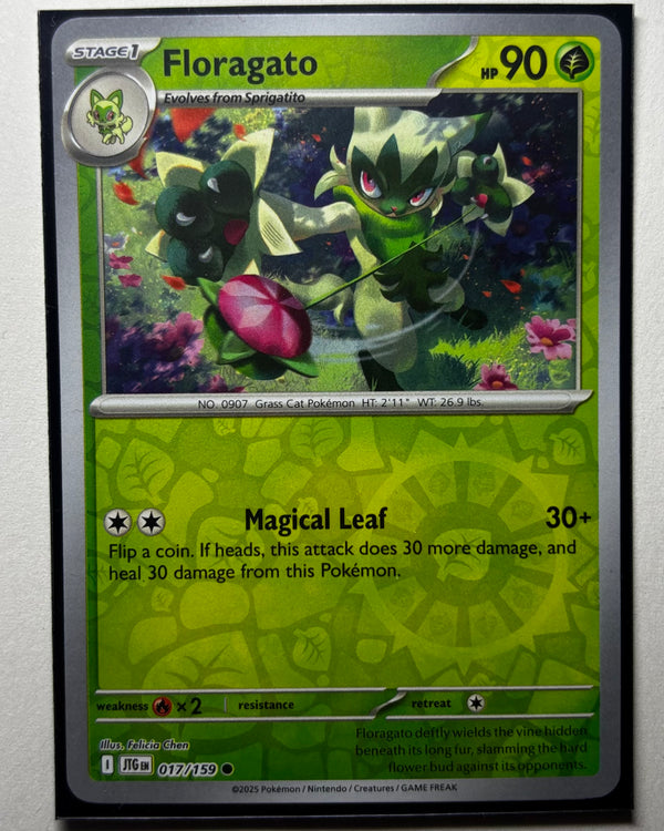 Floragato