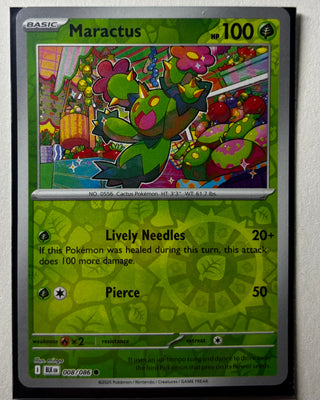 Maractus