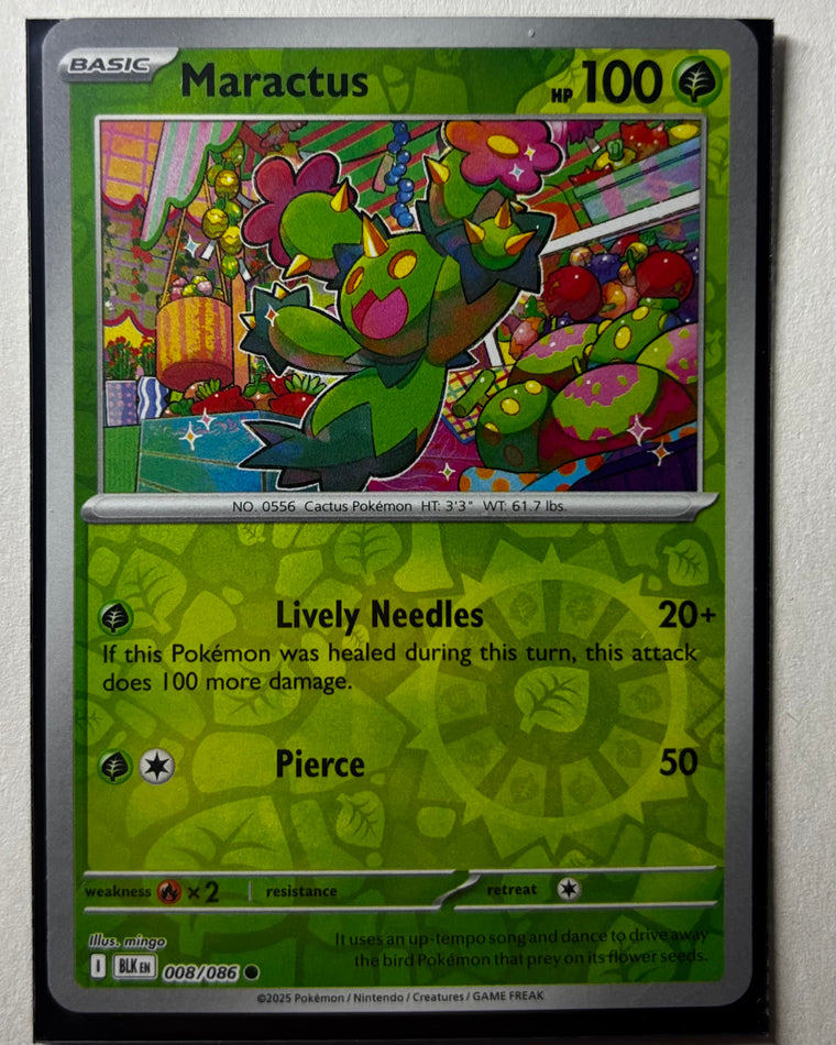 Maractus