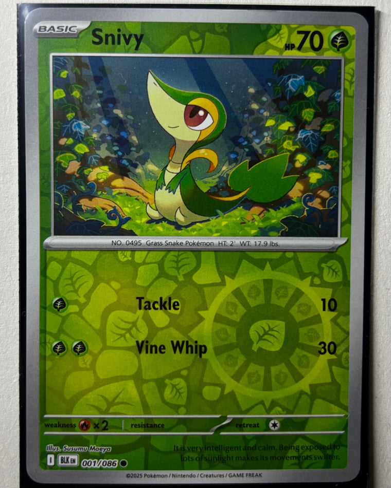 Snivy
