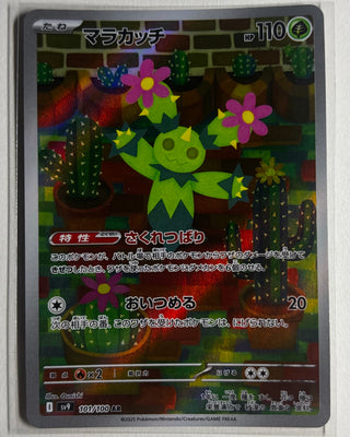 Maractus